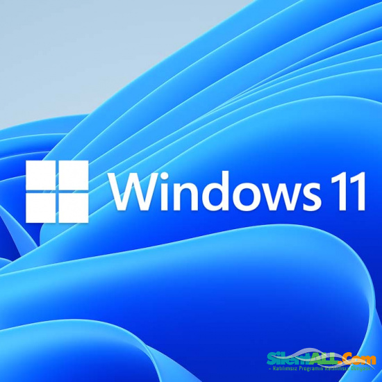 Windows 11 AIO x64 22000.376 MSDN El değmemiş No TPM/Rem test