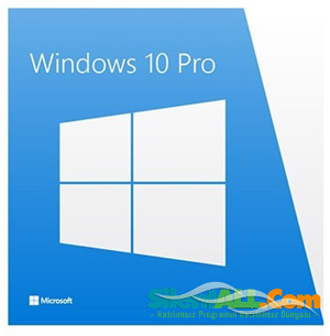 Windows 10 Pro 19044.1566 | MSDN | Full İndir cover png