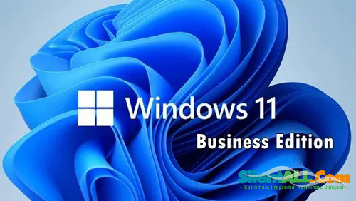 Windows 11 Business Edition | (22000.556) 21H2 (MSDN) (x64) | HERKESE AÇIK cover png