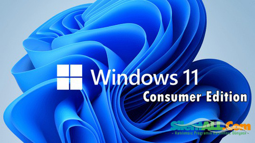 Windows 11 Consumer Edition | (22000.556) 21H2 (MSDN) (x64) | HERKESE AÇIK cover png