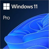 Windows 11 Pro 23H2 x64 | 01.01.2024 | Vip